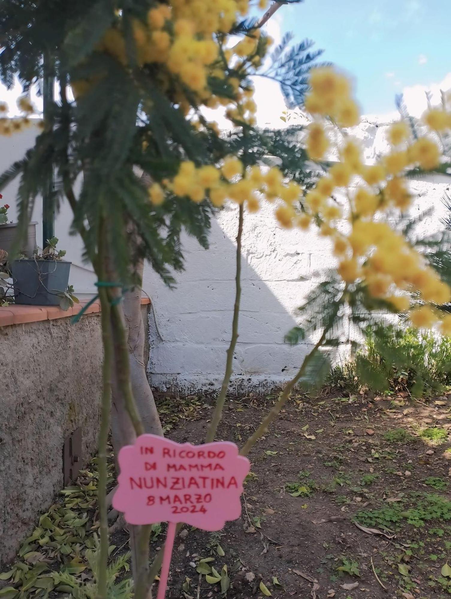 Nel Giardino Di Nunziatina Apartamento Syracuse Exterior foto